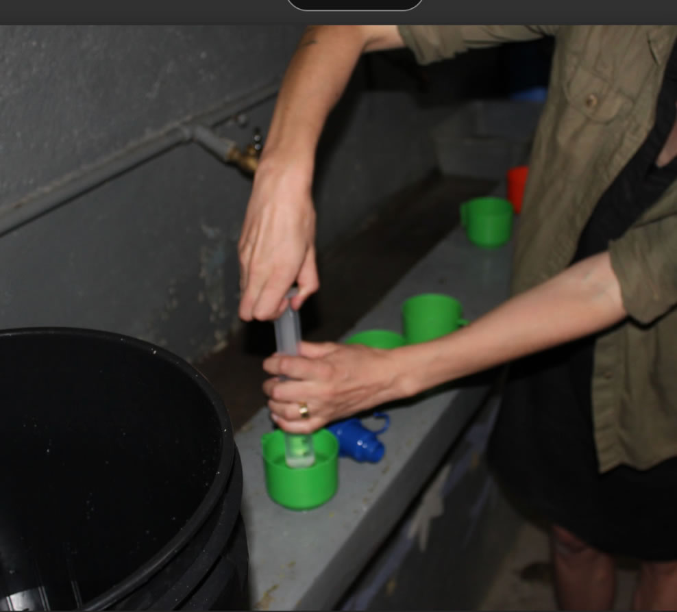 Filtro Fácil in use